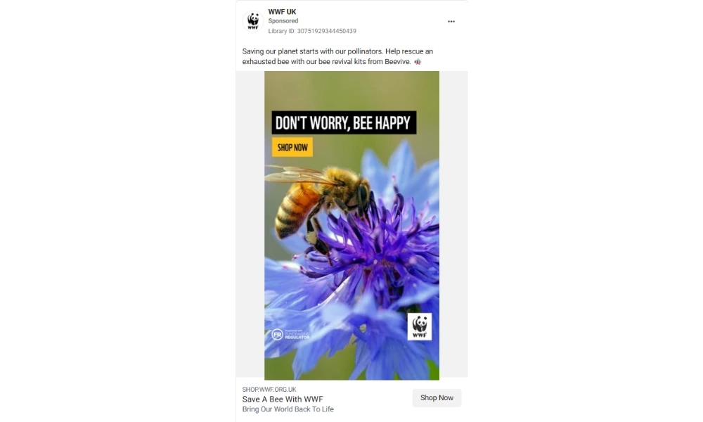 WWF UK – Bee Revival Kit Campaign WWF UK – Bee Revival Kit Campaign